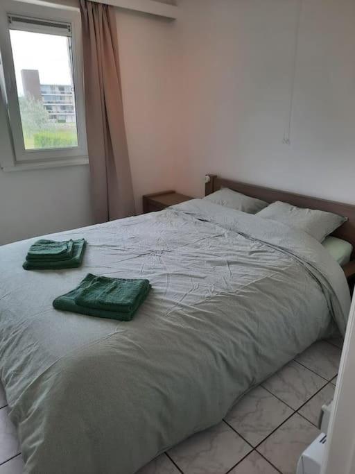Spacieux Duplex Pres De La Mer 4 Chambres 2 Sdb De Haan Esterno foto